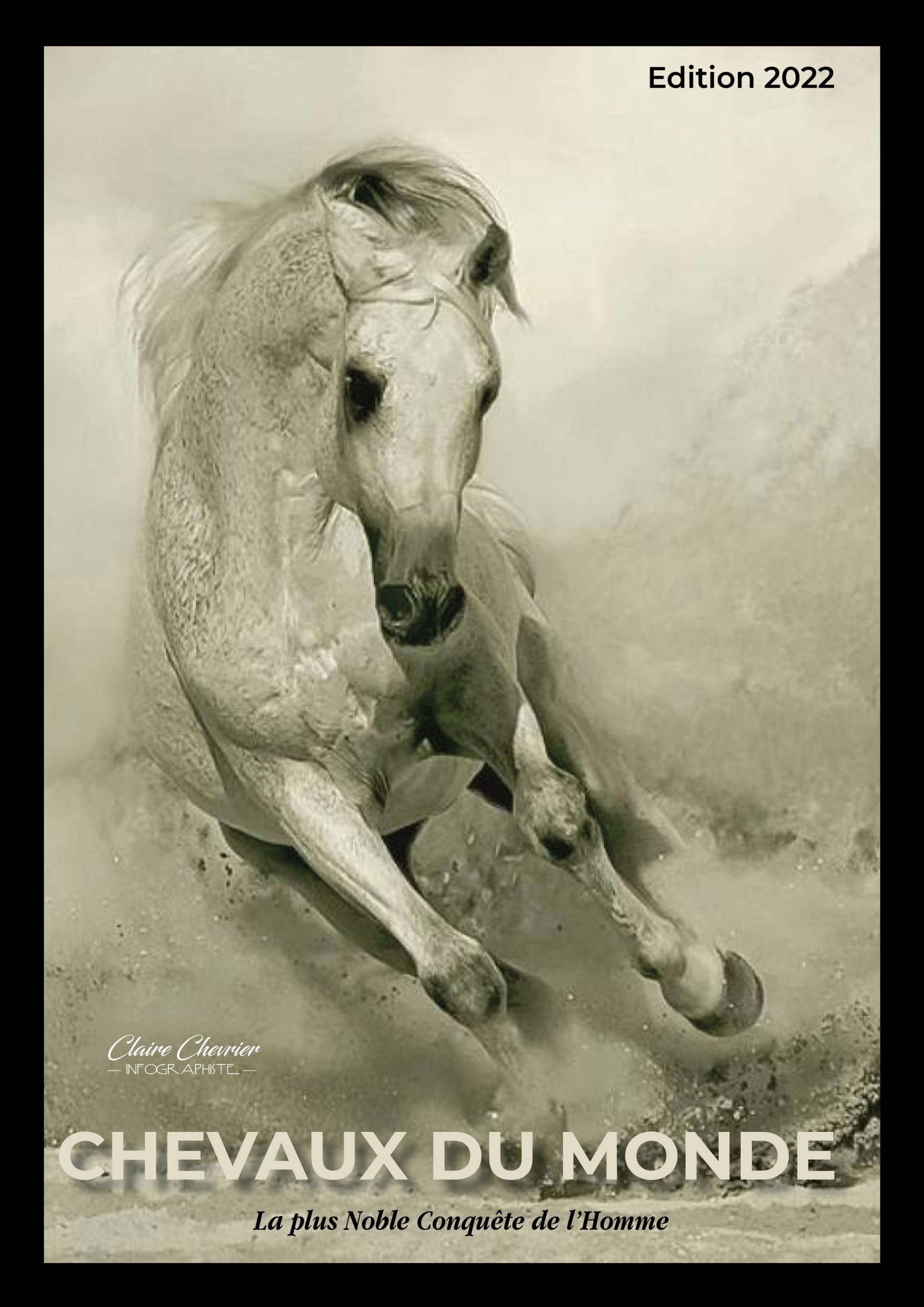 Mes créations InDesign